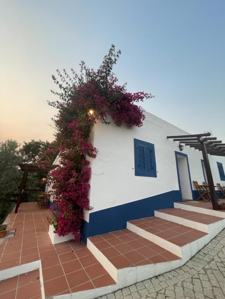 Montes de Charme  Bed and Breakfast Avis Exterior foto