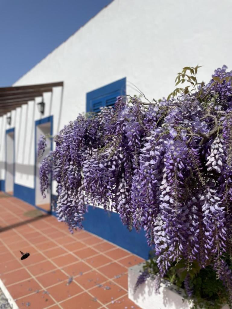 Montes de Charme  Bed and Breakfast Avis Exterior foto